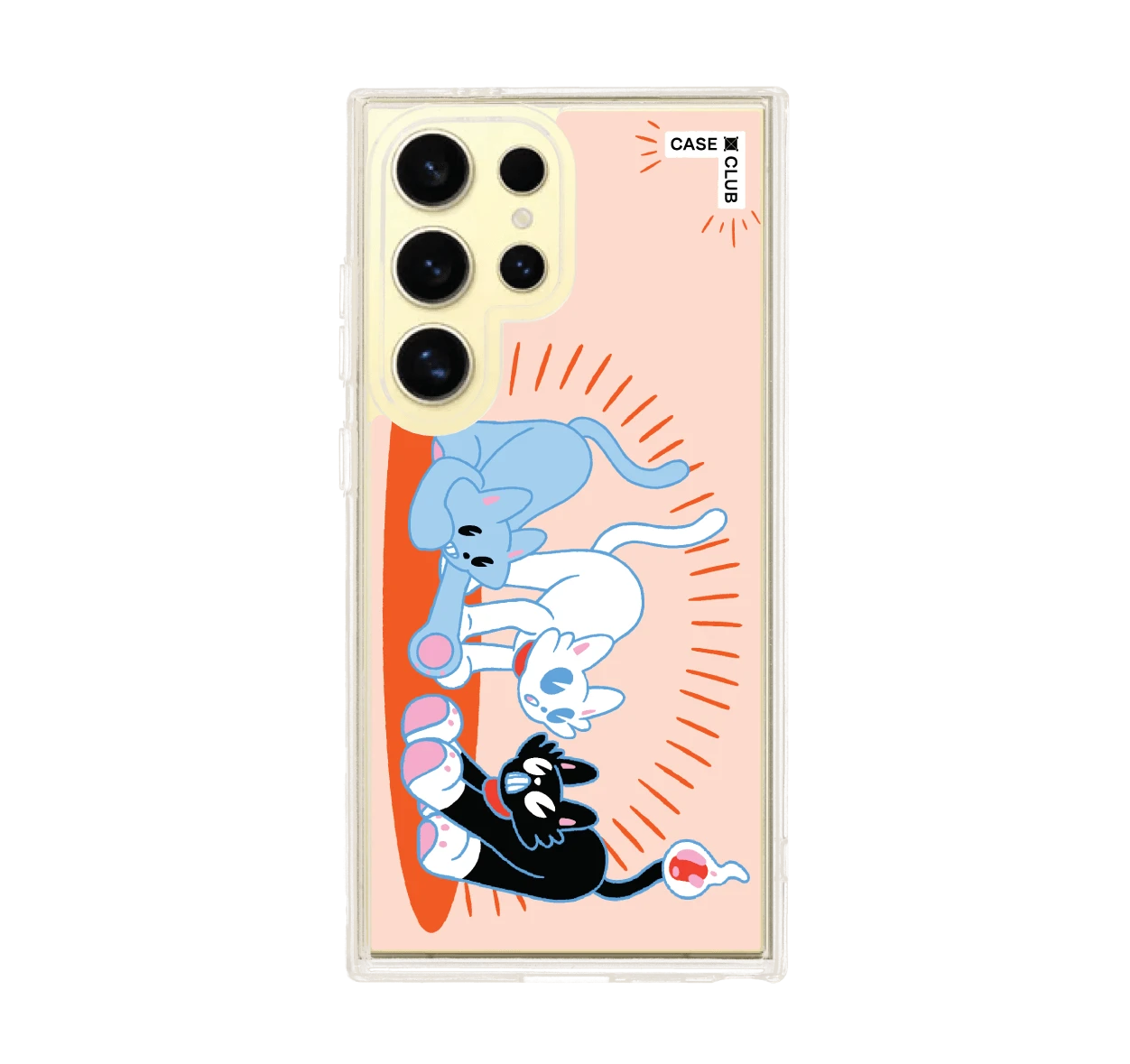 พลังแมวมารวมตัว